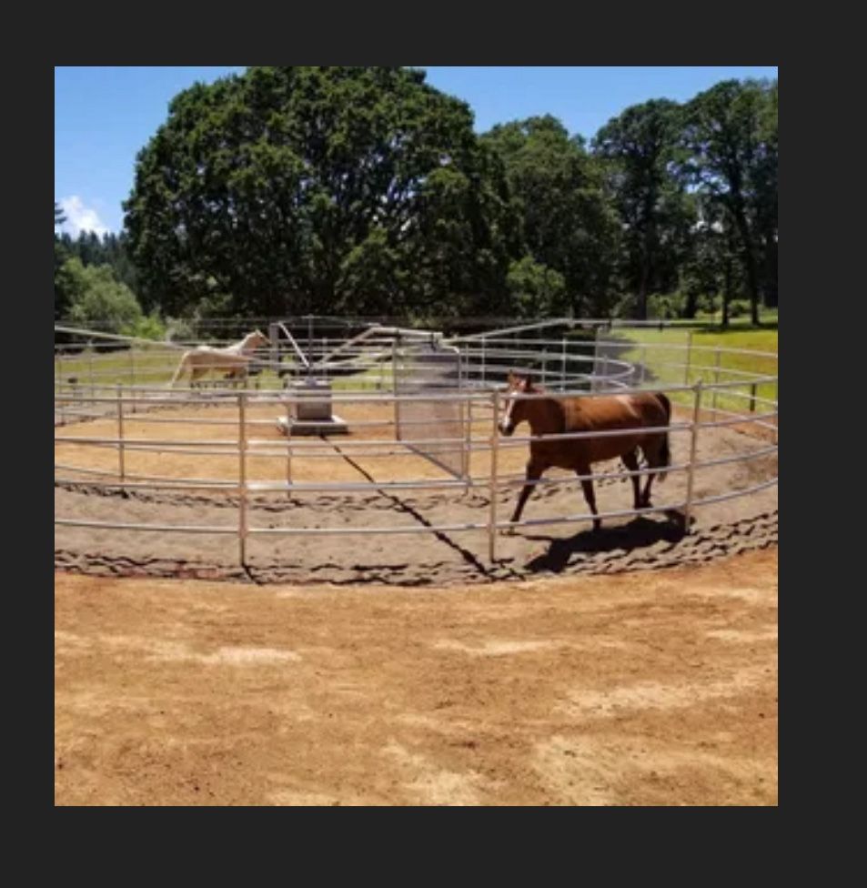 Free Style Horse Exerciser