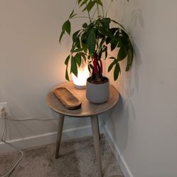 Solid Wood Accent Table