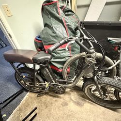 RadRunner Power bike 