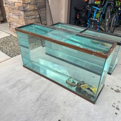 75 Gallon Tank 