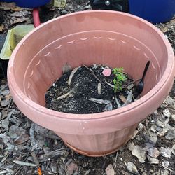 Flower/plant/tree Pot, Sturdy