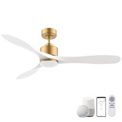 Hoenofly Celing Fan -Brand New