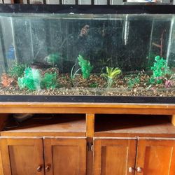2 FISH 🐟 TANKS  2 DAY ONLY $150