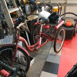 Adult Three wheel Bike