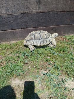 Concrete Turtle For Garden Decorations