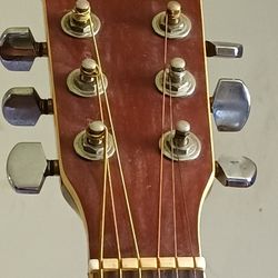 Burswood Guitar With Camel Bone Bridge 