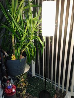5 feet H metal floor lamp pickup only cash