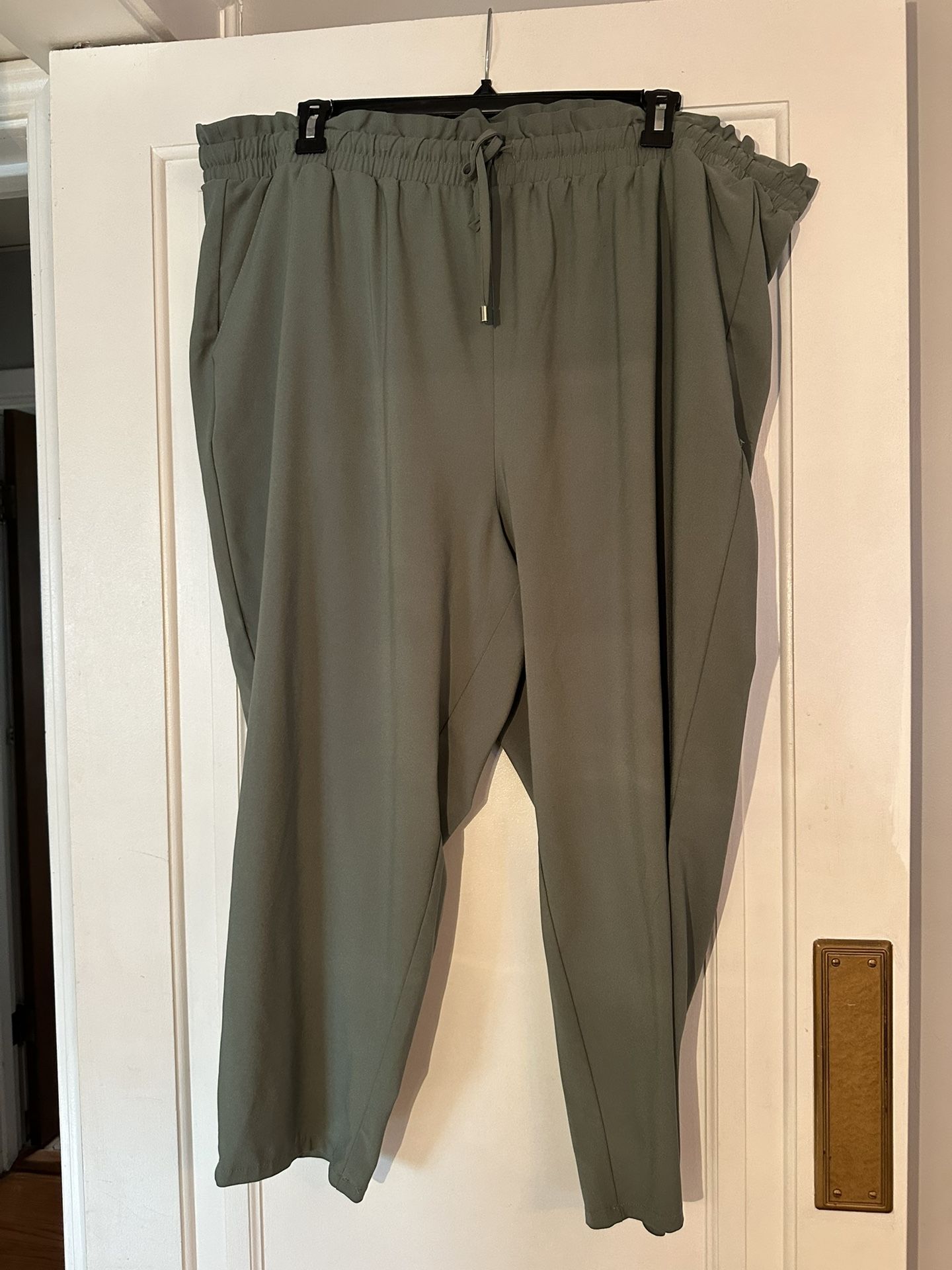 Torrid Pants size 4