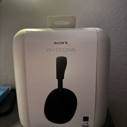 Sony XM6 Headphones