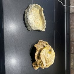 small reptile hide and water/food dish