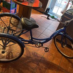 Tricycle In Excellent Condition!