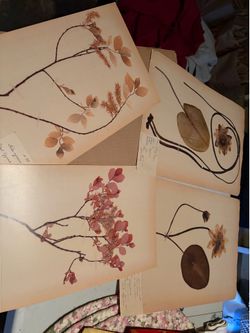 Prints