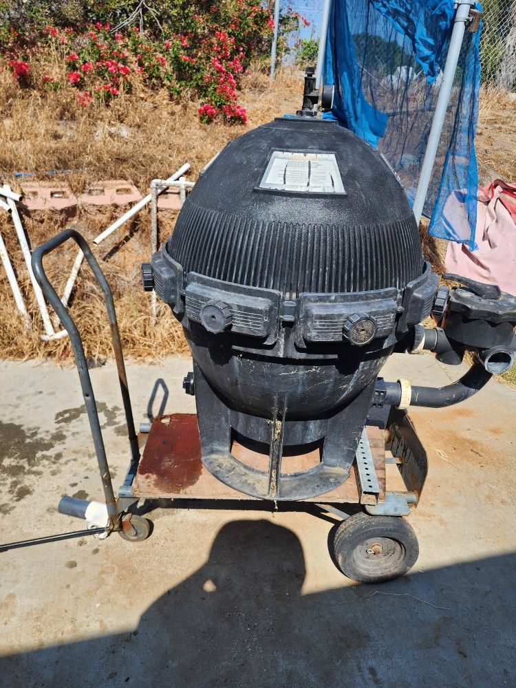 Pool Filter