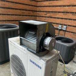 Blower motor