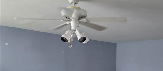 Two Free Fans