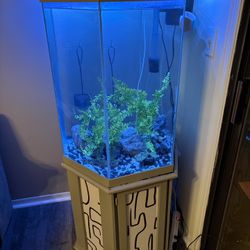 Fish Tank For Sale Everything Included