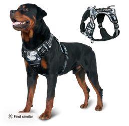 Dog harness