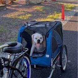 Large dog Trailer,