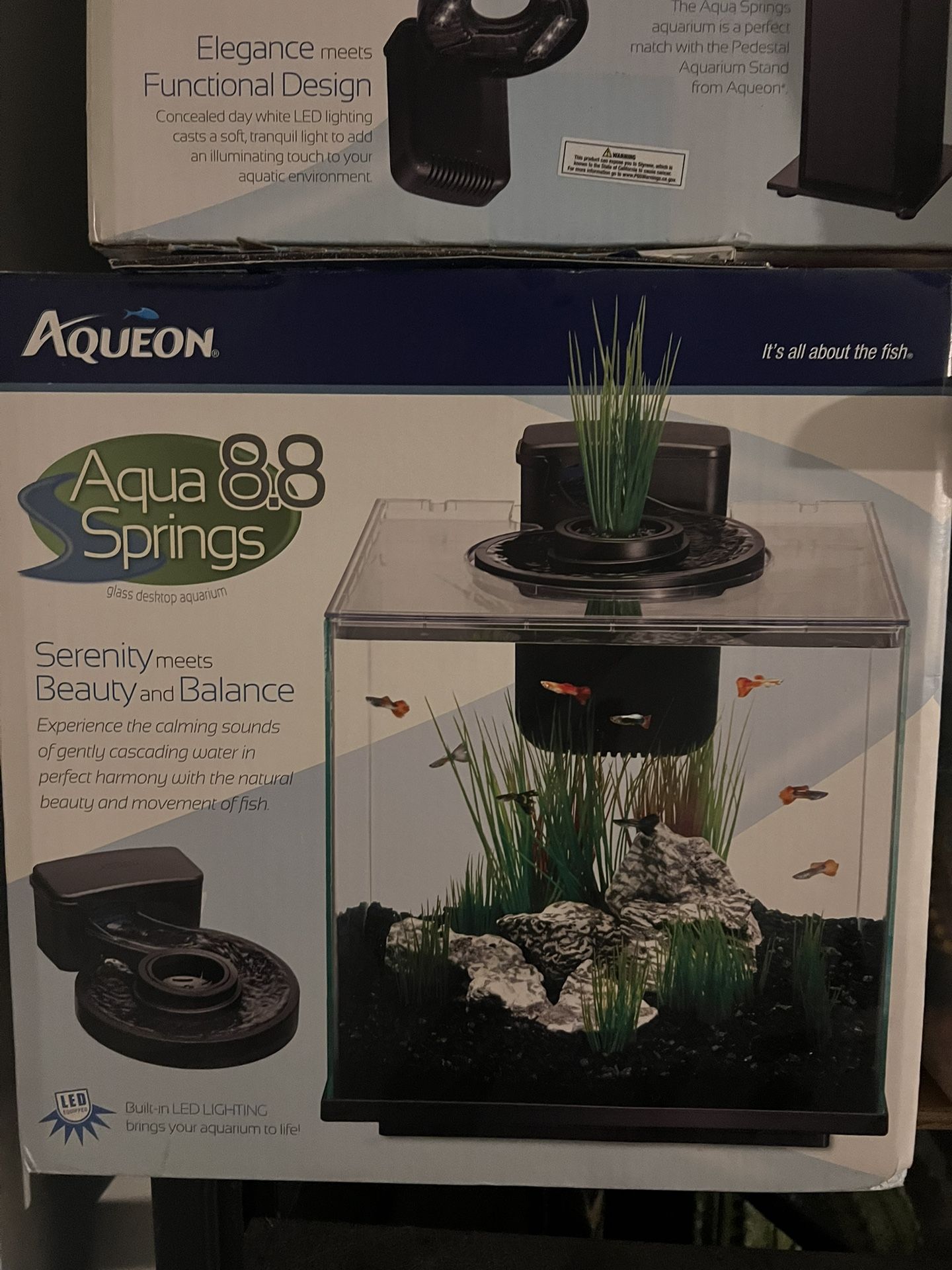 Rimless Aquarium