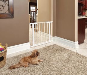 $25 Brand New In Open BoxPet gate in soft white measures 29.875H inches & expands from 29.5 - 38 inches wide