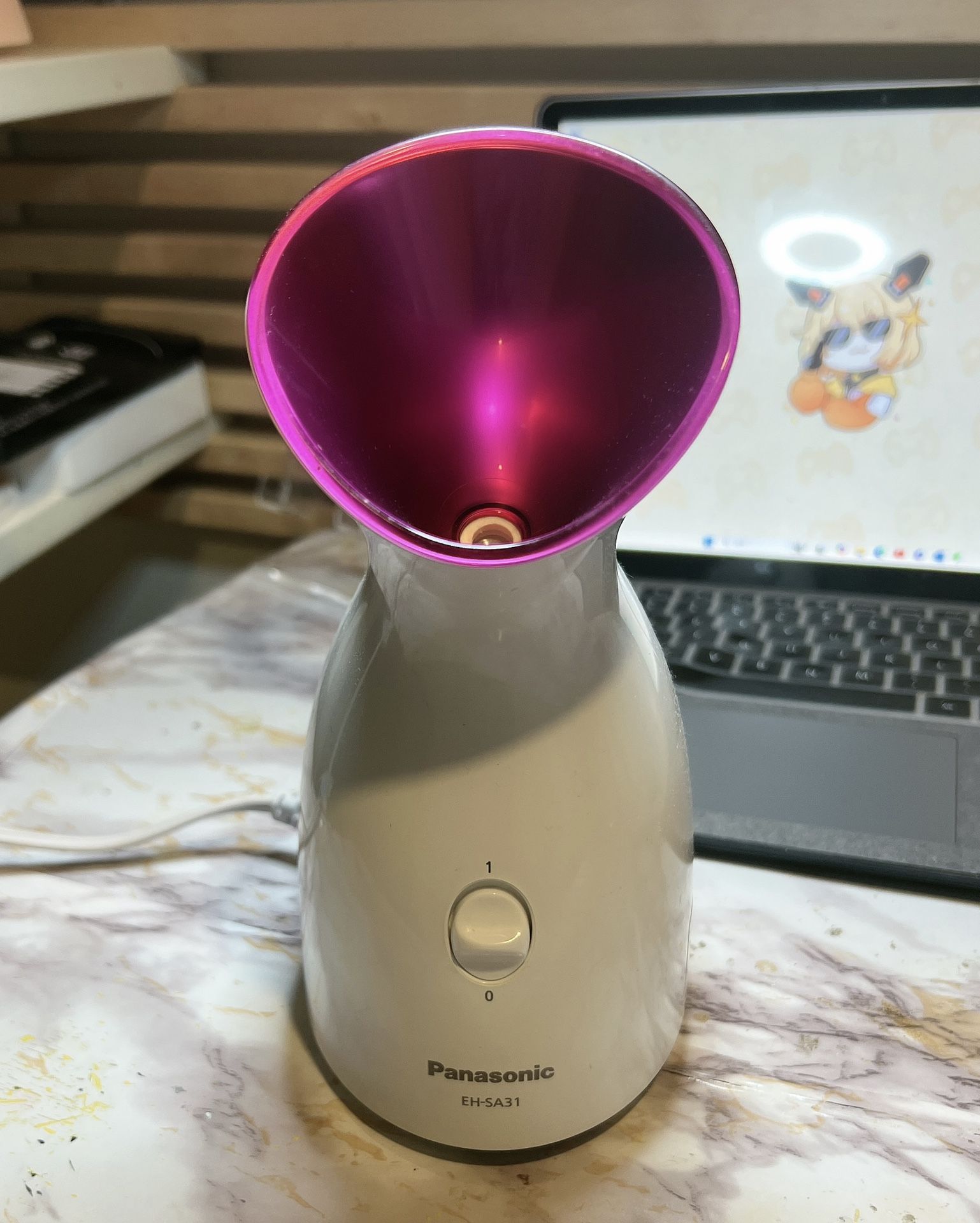 Panasonic facial steamer