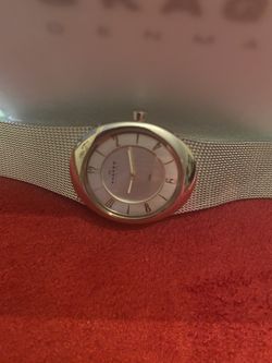 Women SKAGEN  STEEL  Wrist Watch 