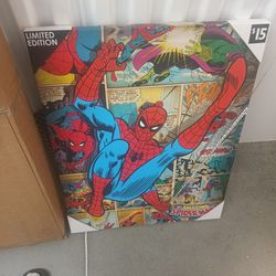 Spider-Man Picture $15