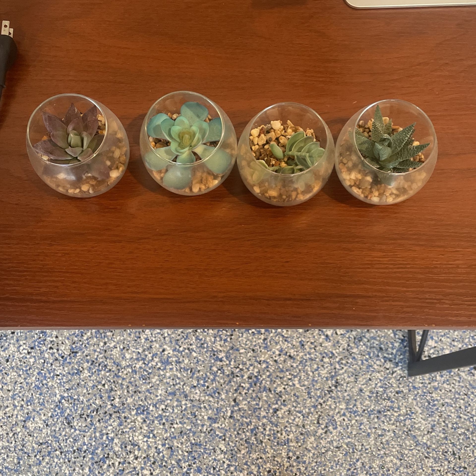 Glass Succulent Decor - 4 Pieces