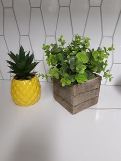 Fake Plants, Both For $10 Or $6 Each