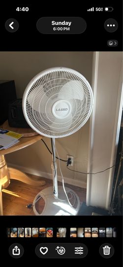 Fan