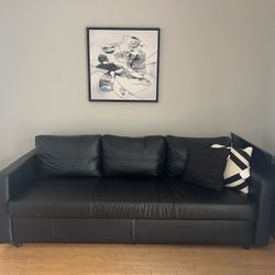 Pull Out Sofa Couch