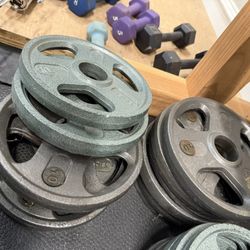 12 Weider 10 lbs. Plates