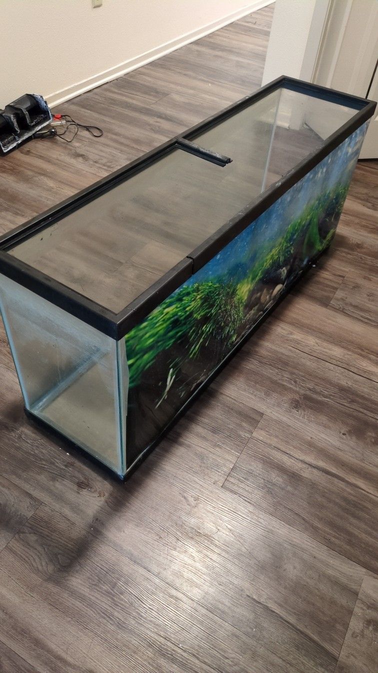 55 gallon aquarium