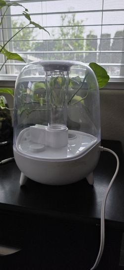 Humidifier