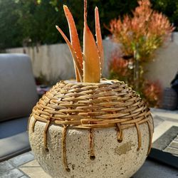 🧡 Orange Aloe Vera Flame 🔥 In Artisan Boho Ceramic Bamboo Planter 🧑‍🎨 