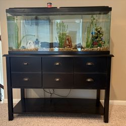 Fishtank