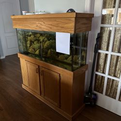 55 Gallon Aquarium