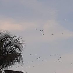 Land For Sale By Owner