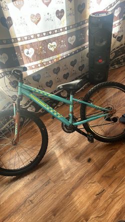 Nishiki Mountain Bike Teal