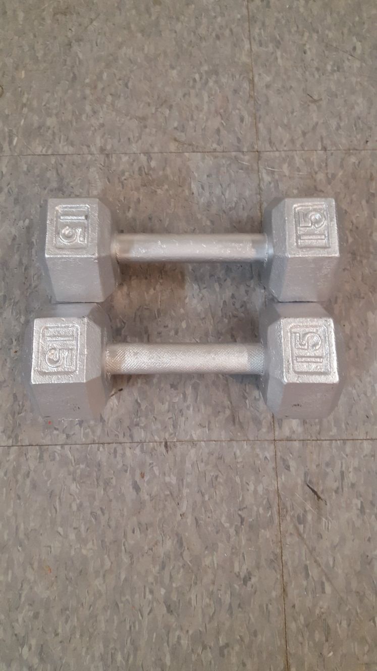 15 lb cast iron dumbbells