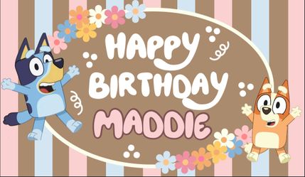Custom 60x35 Bluey Banner Birthday