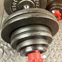 Beast/Smooth Set of Cast Iron Adjustable Dumbbells Yes4All.  Brute W: 150 pounds