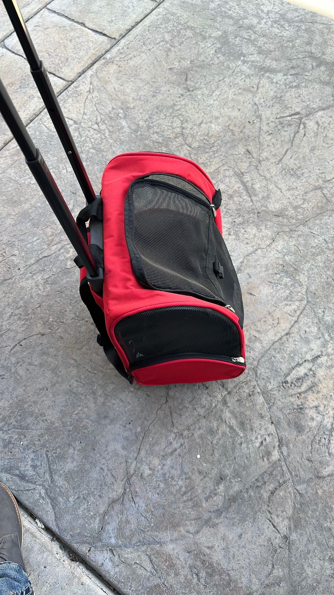 Dog Or Cat Carry Backpack