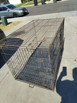 Dog cage 🦮XXL cage