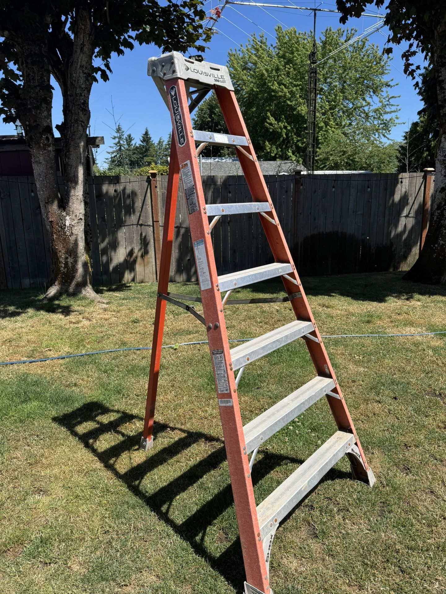 7ft Ladder