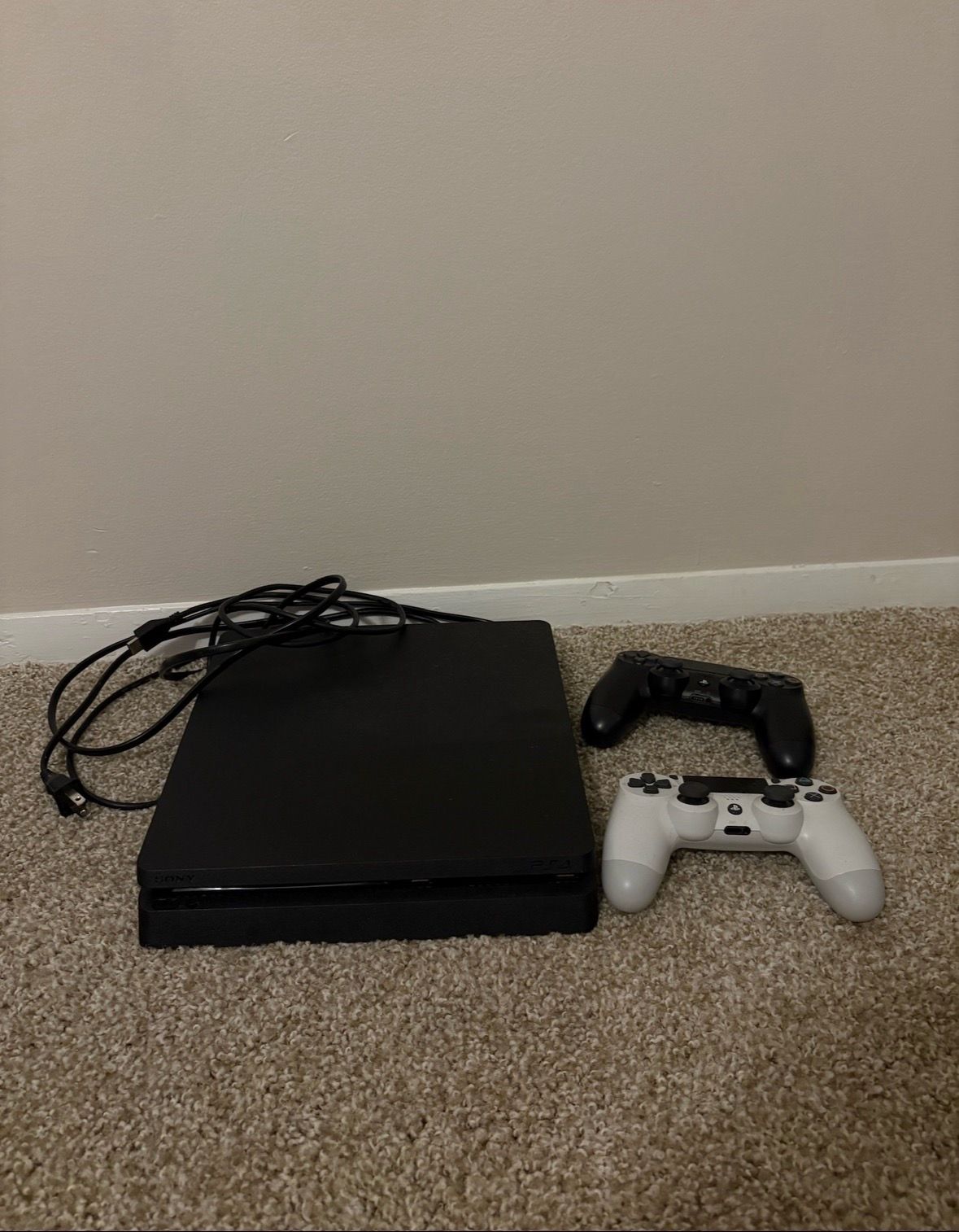 Image #1