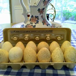 Turkey Eggs Dozen For $12.00 Not Fertilized 