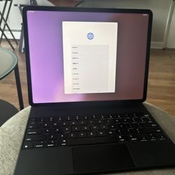 Apple IPad Pro 5th Gen 12.9 256 GB 