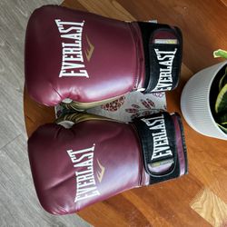 Boxing Gloves 
