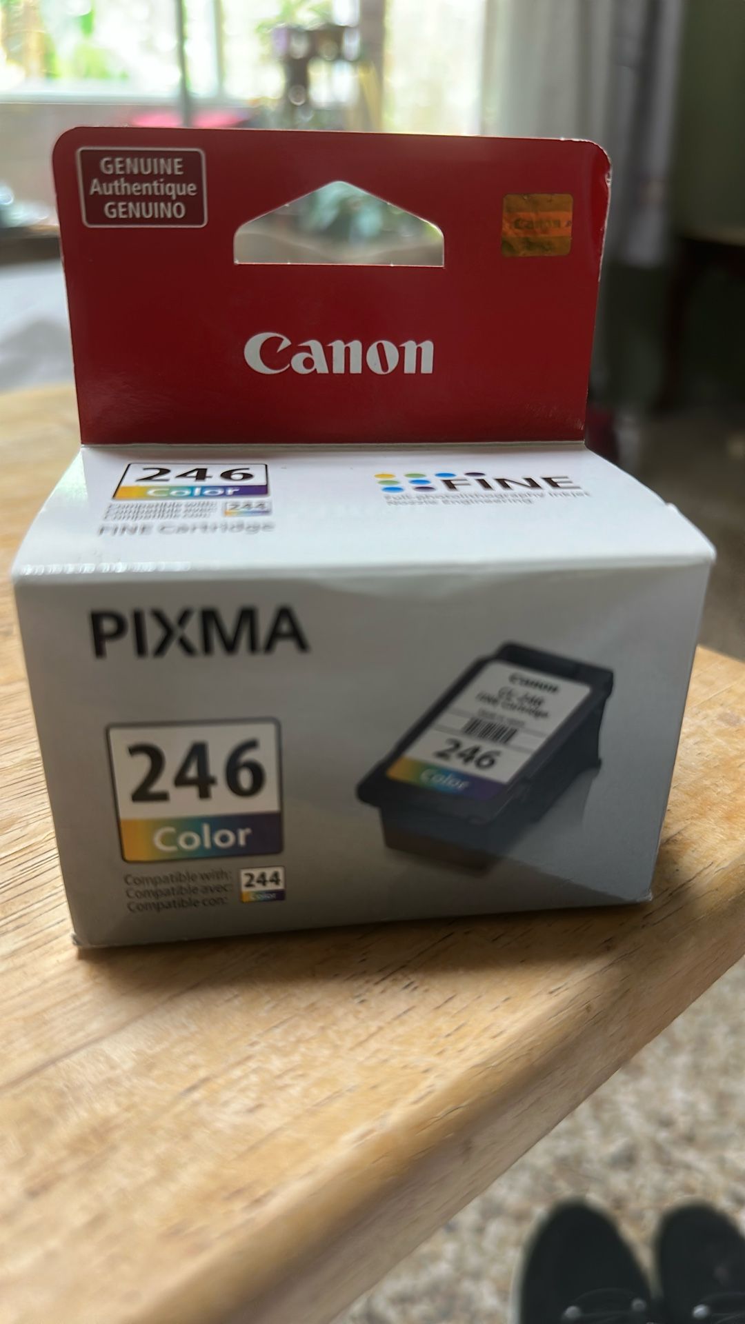 Canon 246 PIXMA Cartridge